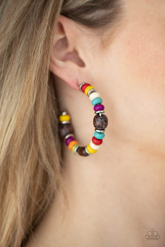 Paparazzi Accessories Definitely Down-To-Earth - Multi  Earrings